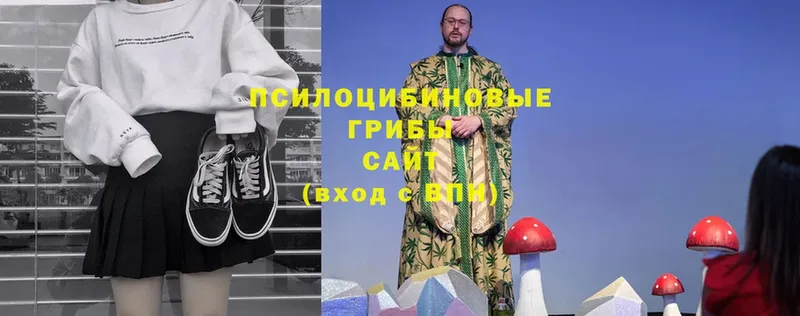 Галлюциногенные грибы Magic Shrooms  mega зеркало  Дивногорск  закладка 